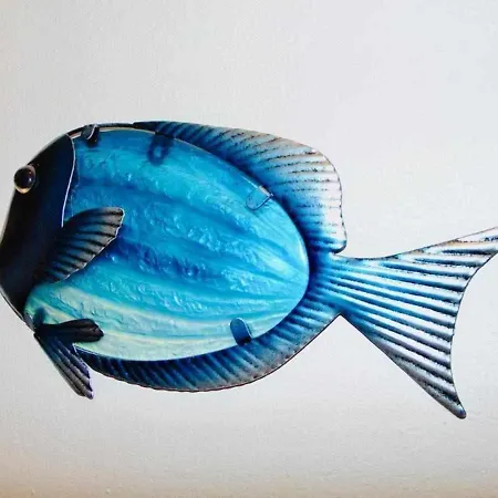 La Terraza Fuerteventura * Puerto del Rosario (Fuerteventura)